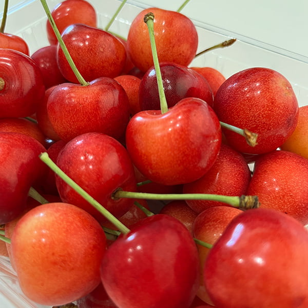 プレミアムさくらんぼ紅てまり1kgバラ詰Lサイズ以上(500g×2)