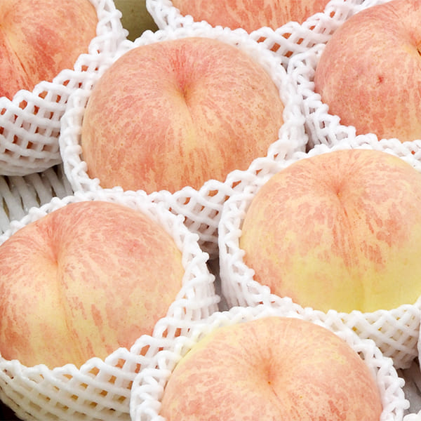 プレミアム白桃CX(シーエックス)約2kg(6〜8玉)