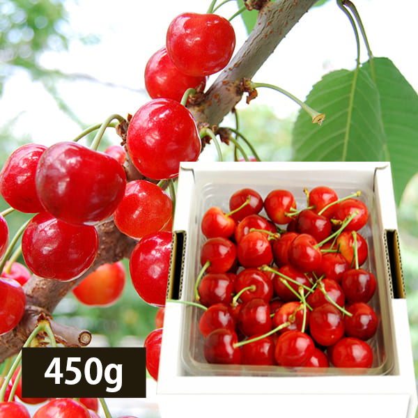 プレミアムさくらんぼ紅秀峰450gバラ詰Lサイズ以上