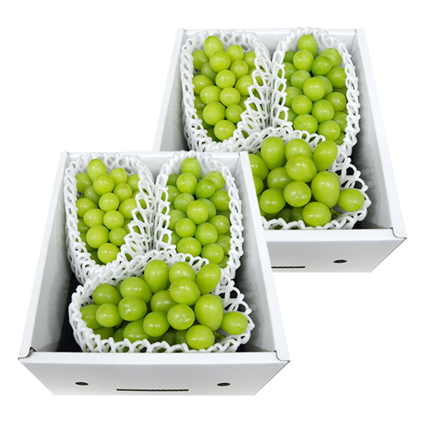 ご家庭用》プレミアムぶどうシャインマスカット約1kg(3房前後)