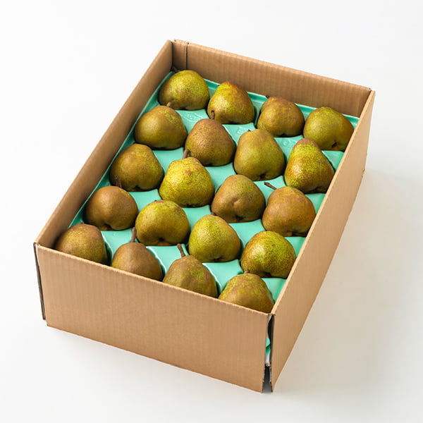 プレミアム洋梨ラフランス小玉約10kg(M〜2L/36〜48玉)