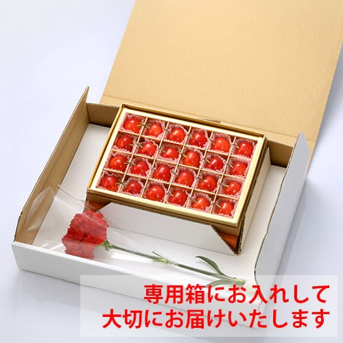母の日ギフト】さくらんぼ佐藤錦Lサイズ[ギフトBOX入り][生