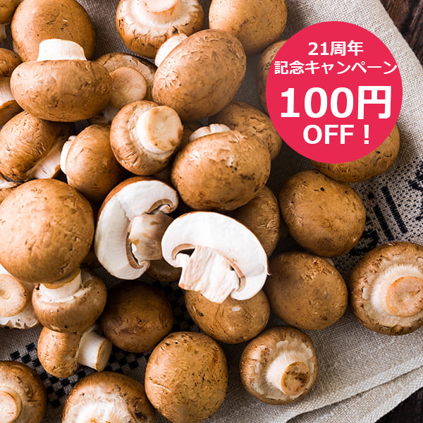 【21周年記念キャンペーン100円OFF】《訳あり》舟形マッシュルームバラ詰約1kg ブラウン