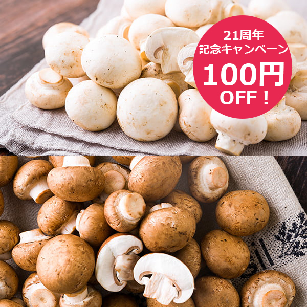 【21周年記念キャンペーン100円OFF】《訳あり》舟形マッシュルームバラ詰約1kg ミックス