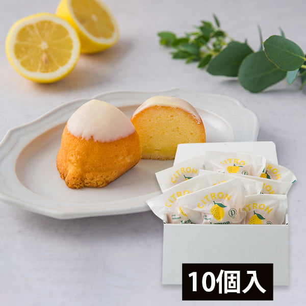 【お歳暮】D.Joie／レモンケーキ10個入