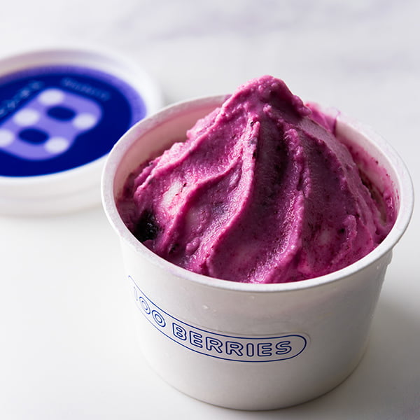 100BERRIES／ジェラート詰め合わせ6個(ブルーベリー2・雪国