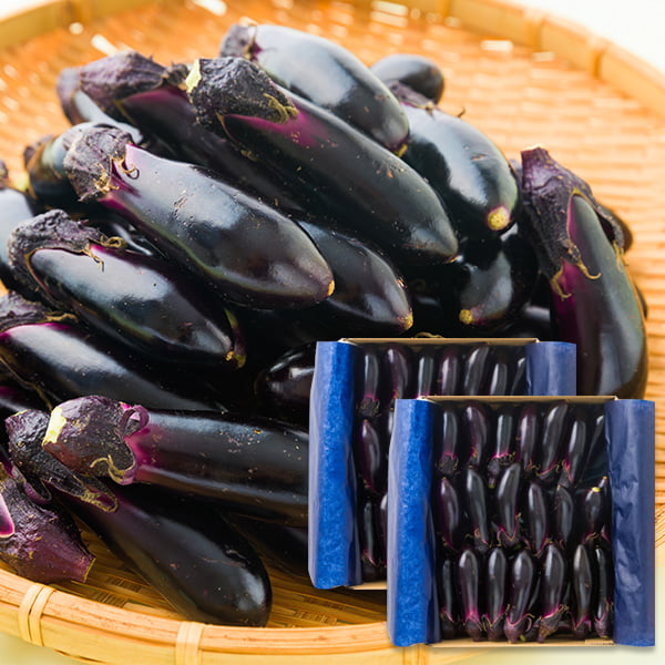 朝採り小なす約2kg(3Sサイズ・浅漬けの素付き)(1kg×2箱)