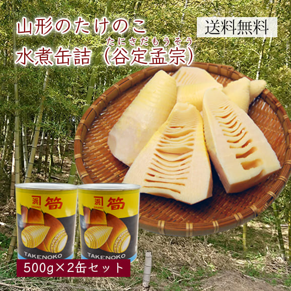 山形のたけのこ水煮缶詰 谷定孟宗 大2缶セット 500ｇ 2 箱入