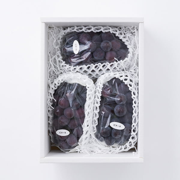 山形本沢ぶどうピオーネ約1.8kg(2〜3房）