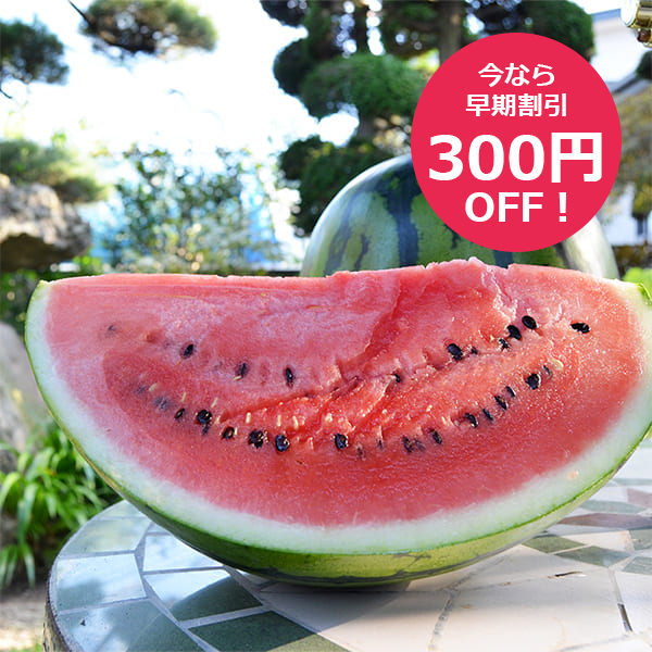 超大玉》山形のすいか羅皇（らおう）1玉（6Lサイズ11kg以上）