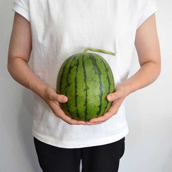 ４玉・東京都・マーゴママ・ピノガール ご家庭用》小玉すいか ピノガール2玉(約1.8kg×2玉)