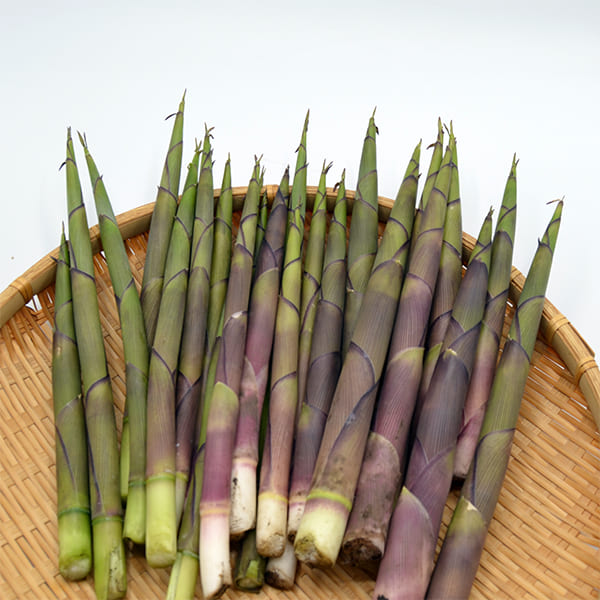 山形の根曲がり筍（300g×3袋）