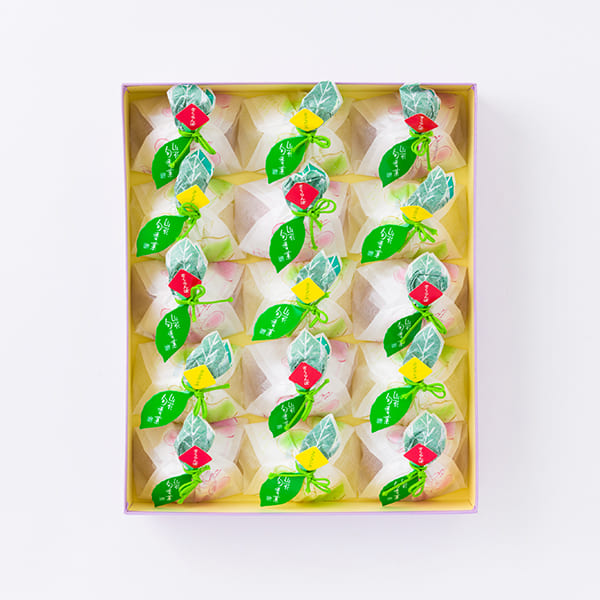 159-000309sq3_2024.jpg?t=