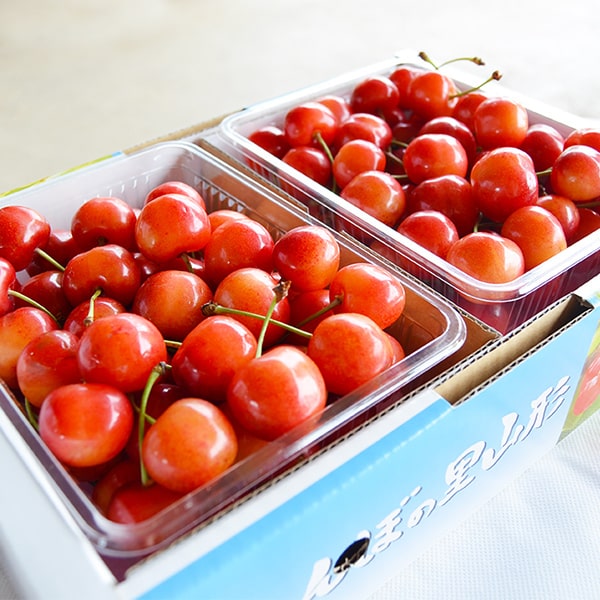 ３箱セット　７月１日　紅秀峰　加工用　山形県産　さくらんぼ　１kg 164-00403sq32.jpg?t=20230329161524