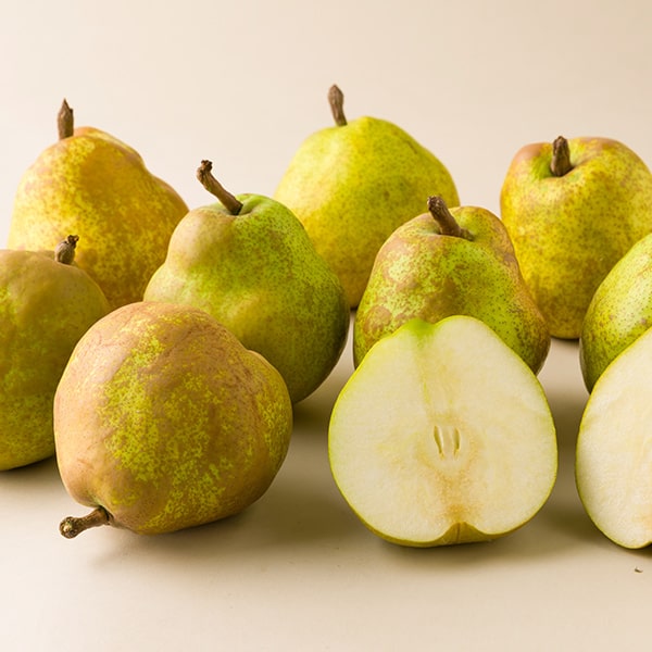 ロン　　ラフランス箱込み24kg 極旨洋梨ラフランス約3kg(3L〜2L/9〜10玉)