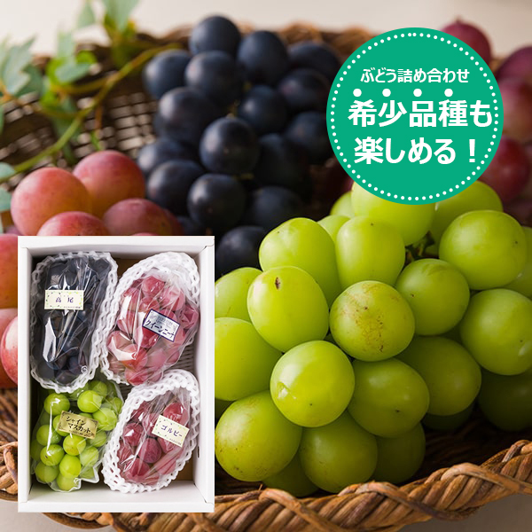 かんおぶどう農園／大粒ぶどう詰め合わせ約2kg(3〜4品種)