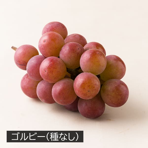かんおぶどう農園／大粒ぶどう詰め合わせ約2kg(3〜4品種)