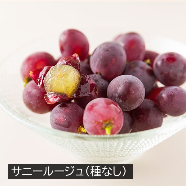 かんおぶどう農園／大粒ぶどう詰め合わせ約2kg(3〜4品種)