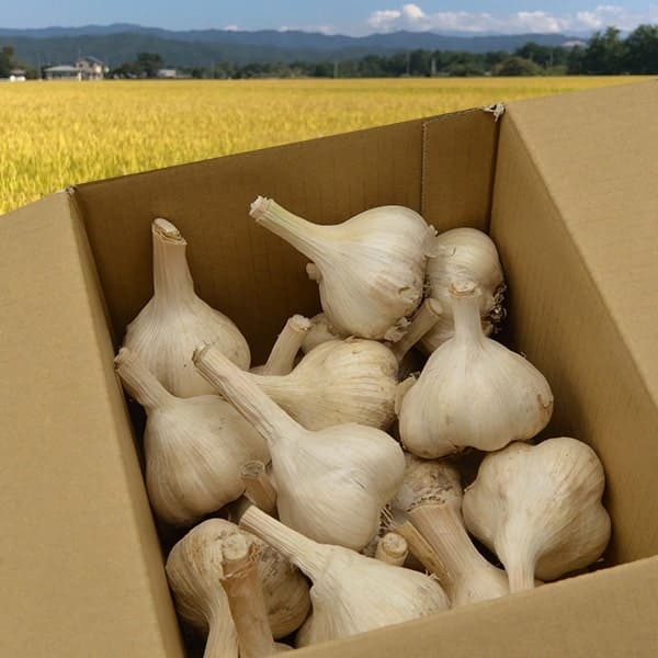 根・土つき》山形の生にんにく約1kg