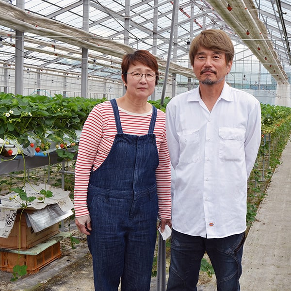 174-00100sq8.jpg?t=20220704174244