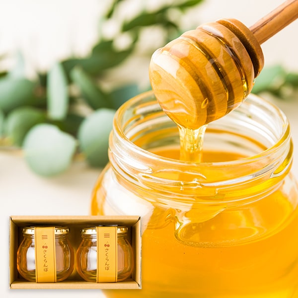 【2025年完売】2026年7月頃〜予約開始予定|板垣養蜂園／山形のはちみつ[さくらんぼ]2本入(300g×2本)