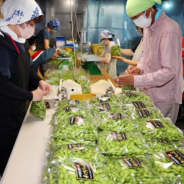 小池喜左衛門のだだちゃ豆 早生白山/白山 約1kg