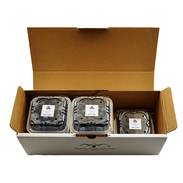 朝摘み生ブルーベリーガイアの雫500g(100g×5パック)