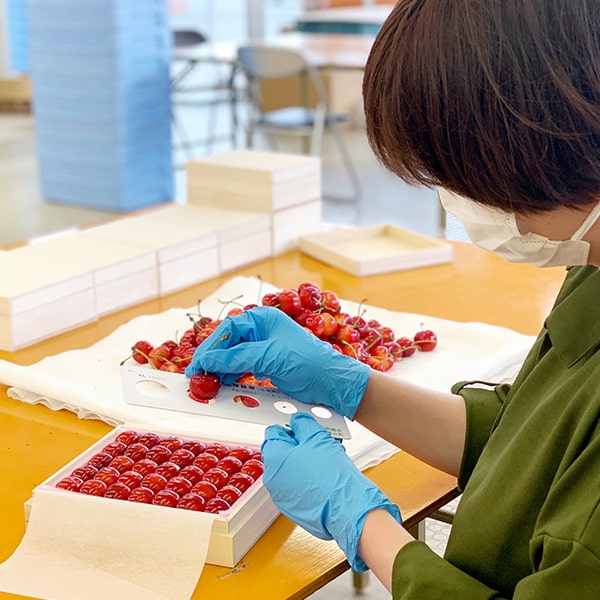 旬果》特秀さくらんぼ紅秀峰300g並び詰3Lサイズ[桐箱入]