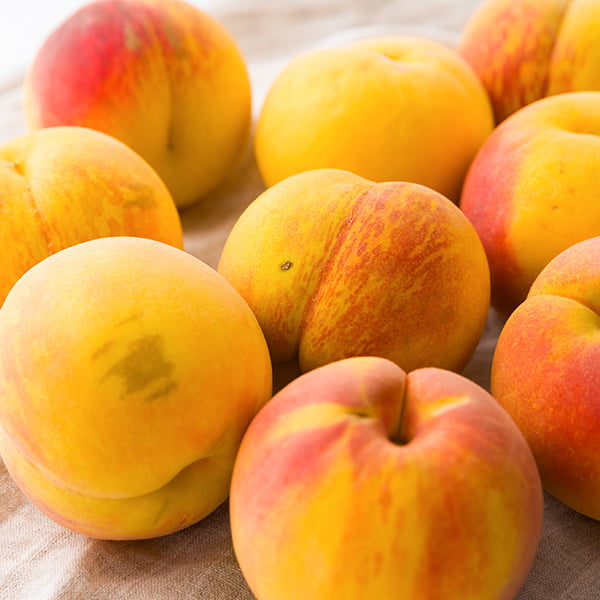 194-00410sq2403.jpg?t=