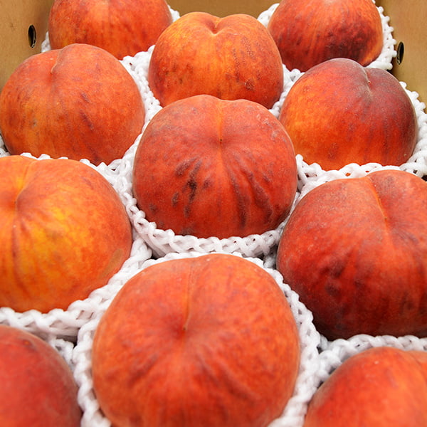 芳醇ワッサー約3kg(10玉前後)【桃とネクタリンの自然交配種】