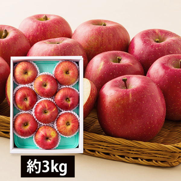 【2025年完売】2026年9月頃〜予約開始予定|芳醇サンふじりんご約3kg(7〜12玉)