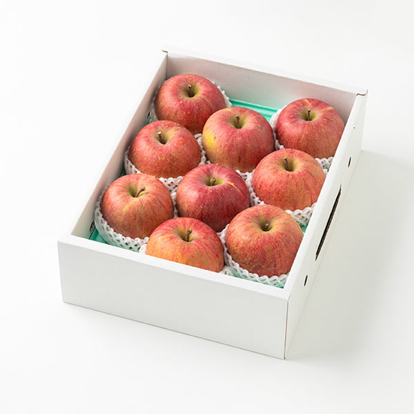 数量限定】芳醇サンふじりんご約3kg(7〜12玉)