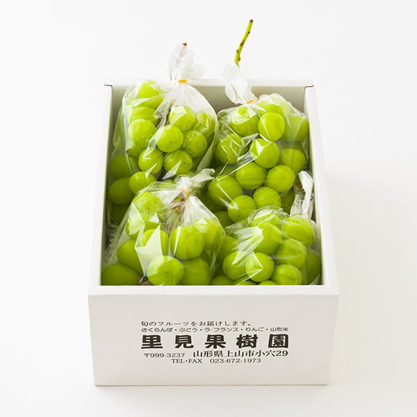 里見果樹園／《ご家庭用》大粒ぶどうシャインマスカット約2kg(3〜5房)