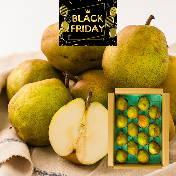 【ブラックフライデー限定10%OFF】【数量限定】里見果樹園／《訳あり》ラ・フランス約5kg(玉数おまかせ)