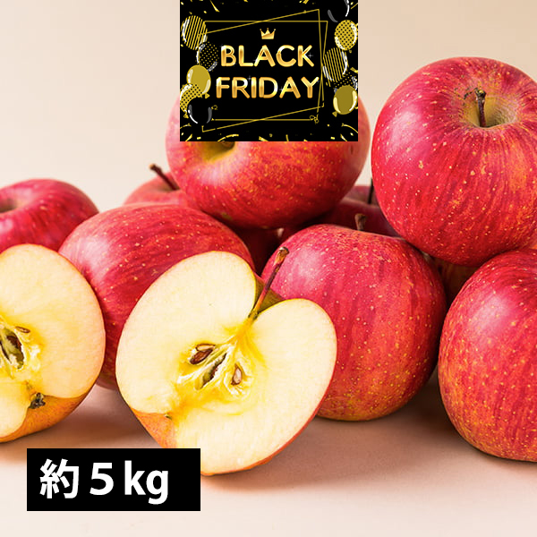 【ブラックフライデー限定10％OFF】【数量限定】《訳あり》サンふじりんご約5kg(玉数おまかせ)