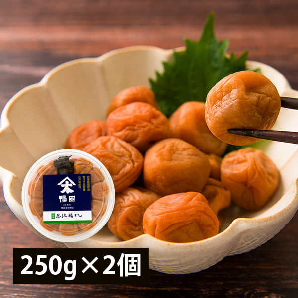 鴨田太平商店／《減塩》谷沢梅ぼし250g×2個
