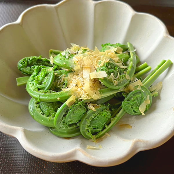 朝穫り山菜 こごみ約500g