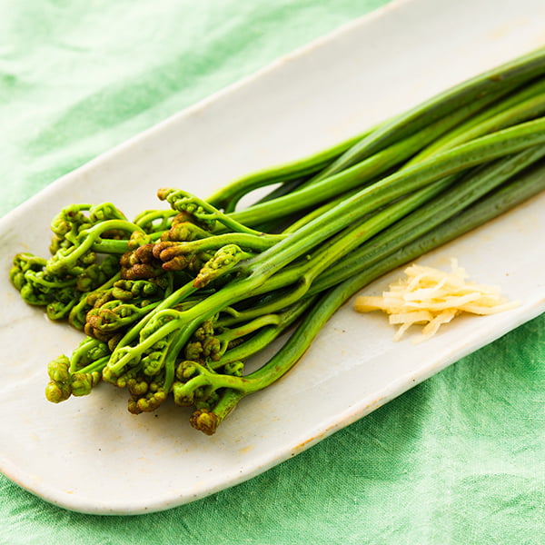 朝穫り山菜 わらび約2kg