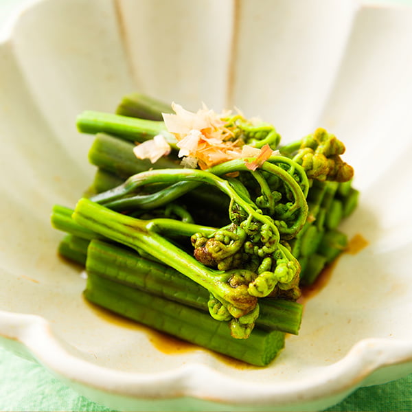 朝穫り山菜 わらび約2kg