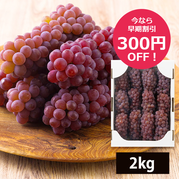 山道農園のぶどう甘美デラウェア2kg(12〜16房前後)