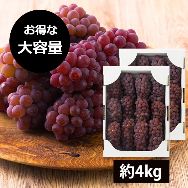 【2026年完売】2027年5月頃〜予約開始予定|【大容量でお得！】山道農園のぶどう甘美デラウェア約4kg(24〜32房)