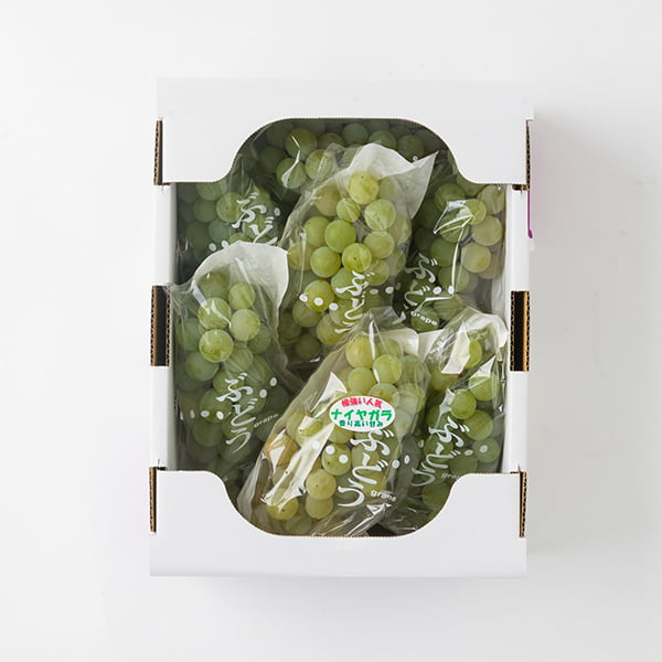 山道農園のぶどう甘美ナイアガラ約2kg(7房前後)