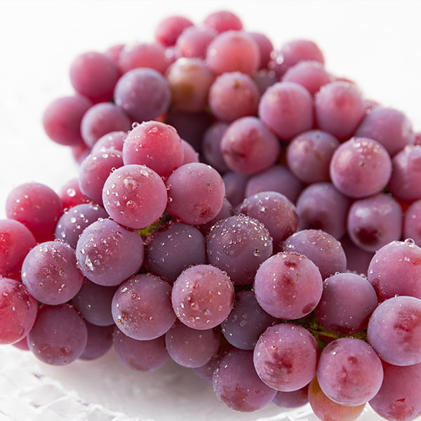 山道農園のぶどう甘美レッドナイアガラ約2kg(7房前後)