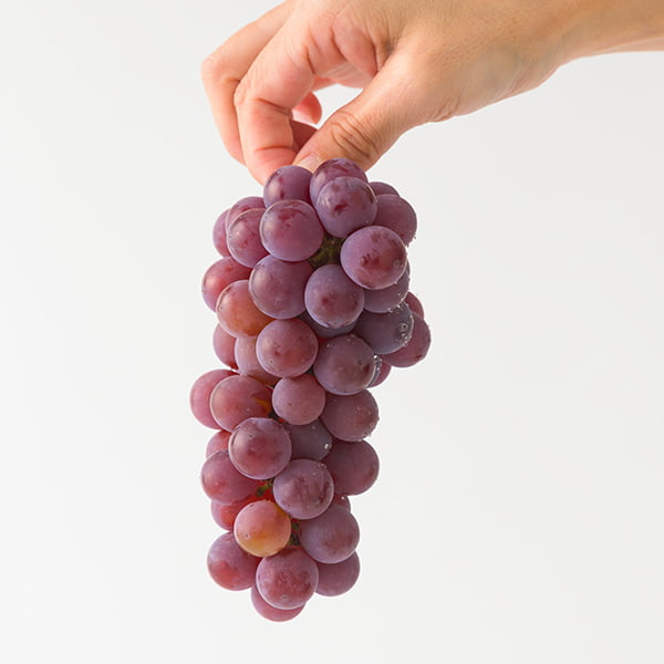 山道農園のぶどう甘美レッドナイアガラ約2kg(7房前後)