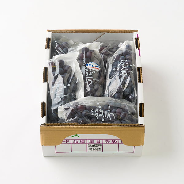 山道農園のぶどう甘美スチューベン約2kg(7房前後)