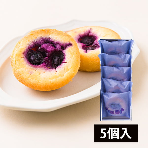 酒田菓匠菊池／月山高原ブルーベリーチーズケーキ5個入