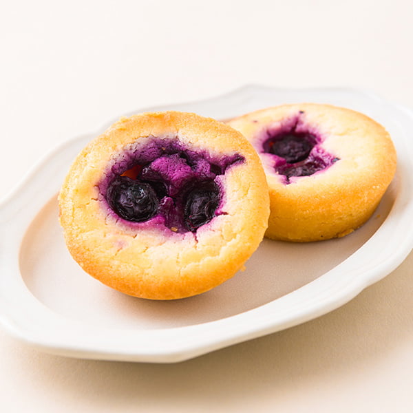 酒田菓匠菊池／月山高原ブルーベリーチーズケーキ5個入
