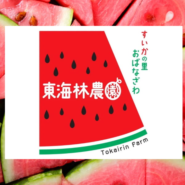 数量限定】東海林農園／尾花沢すいか小玉ピノガール2kg前後