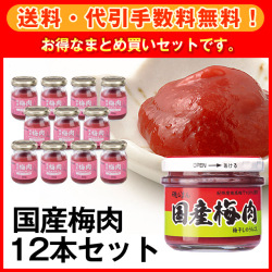 【送料・手数料無料】国産梅肉12本セット