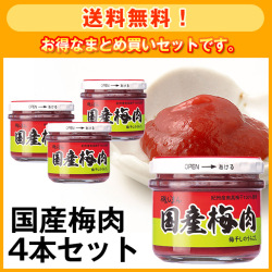 【送料無料】国産梅肉4本セット